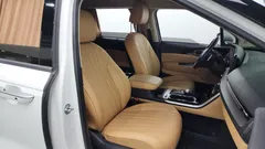 2023 Kia Carnival Diesel 9-Seater Signature — фото 11