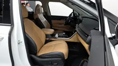 2023 Kia Carnival Diesel 9-Seater Signature — фото 11