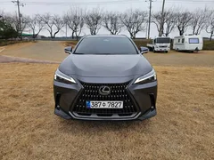 2024 Lexus NX Premium, серый — фото 2