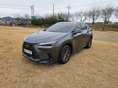 2024 Lexus NX Premium, серый — фото 3