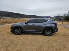 2024 Lexus NX Premium, серый — фото 4