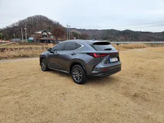 2024 Lexus NX Premium, серый — фото 5
