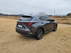 2024 Lexus NX Premium, серый — фото 7