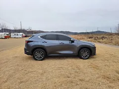 2024 Lexus NX Premium, серый — фото 8