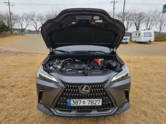 2024 Lexus NX Premium, серый — фото 15