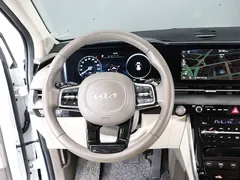 2023 Kia Carnival Gasoline 9-Seater Signature — фото 19