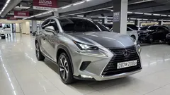 2021 Lexus NX Supreme, серый — фото 3