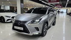 2021 Lexus NX Supreme, серый — фото 4