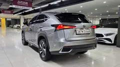 2021 Lexus NX Supreme, серый — фото 6