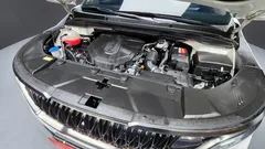 2023 Kia Carnival Diesel 7-Seater Signature — фото 6