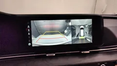 2023 Kia Carnival Diesel 9-Seater Signature — фото 15