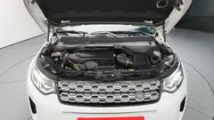 2021 Land Rover Discovery Sport P250 S, белый — фото 6