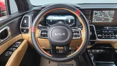 2023 Kia Sorento HEV 1.6 4WD, красный — фото 13