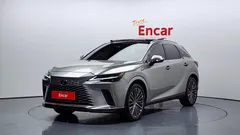 2024 Lexus RX Luxury, серебристый — фото 1