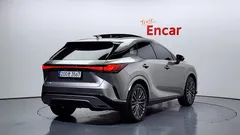 2024 Lexus RX Luxury, серебристый — фото 2
