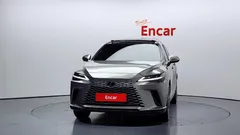 2024 Lexus RX Luxury, серебристый — фото 3