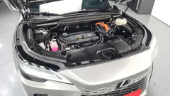 2024 Lexus RX Luxury, серебристый — фото 6