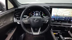 2024 Lexus RX Luxury, серебристый — фото 13