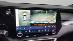 2024 Lexus RX Luxury, серебристый — фото 14