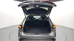 2024 Lexus RX Luxury, серебристый — фото 20