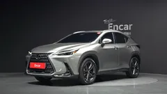 2023 Lexus NX Premium, серо-серебристый — фото 1
