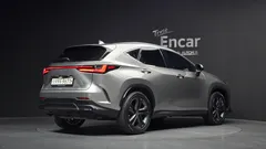 2023 Lexus NX Premium, серо-серебристый — фото 2
