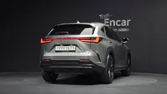 2023 Lexus NX Premium, серо-серебристый — фото 4