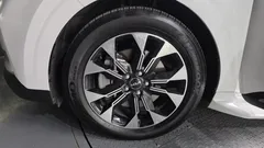 2023 Kia Carnival Diesel 9-Seater Signature — фото 5