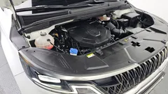2023 Kia Carnival Diesel 9-Seater Noblesse — фото 6