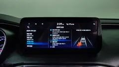 2023 Hyundai Santa Fe HEV 1.6 2WD — фото 16