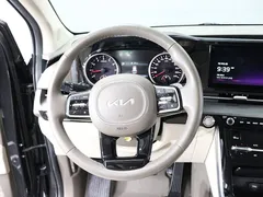 2023 Kia Carnival Gasoline 9-Seater Noblesse — фото 19