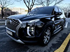 2022 Hyundai Palisade Diesel 2.2 2WD — фото 13