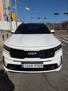 2023 Kia Sorento HEV 1.6 2WD — фото 11