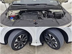2023 Kia Carnival Gasoline 9-Seater Noblesse — фото 19