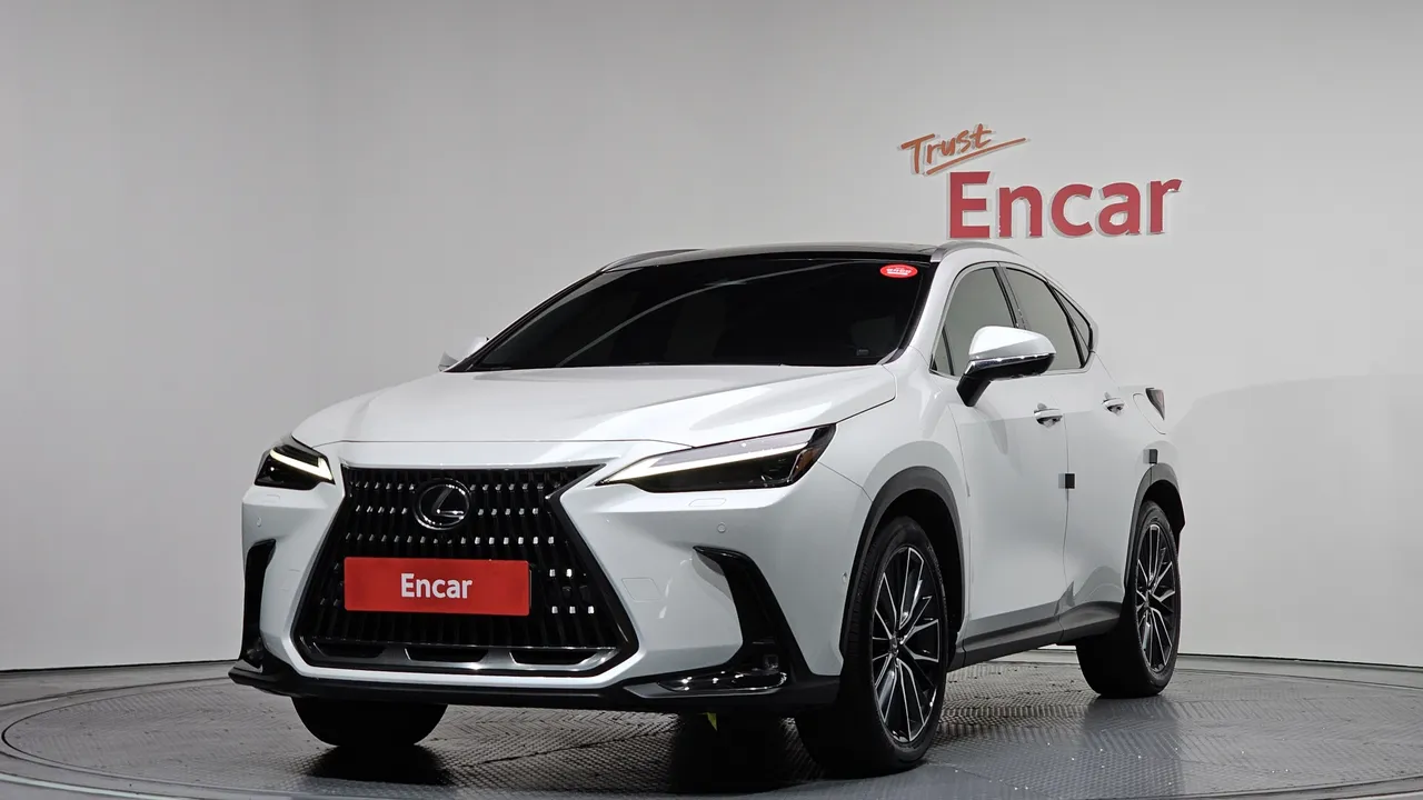 2024 Lexus NX Luxury
