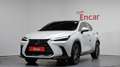 2024 Lexus NX Luxury