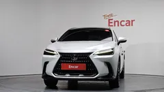 2024 Lexus NX Luxury, белый — фото 3