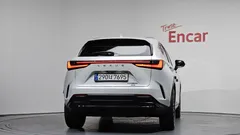2024 Lexus NX Luxury, белый — фото 4