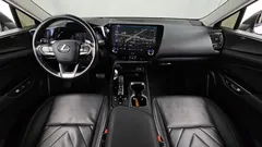 2024 Lexus NX Luxury, белый — фото 7