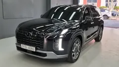 2023 Hyundai Palisade Diesel 2.2 4WD — фото 12