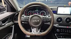 2023 Kia Stinger 2.5 AWD Masters — фото 17
