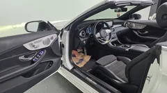 2023 Mercedes-Benz C-Class C200 Cabriolet, белый — фото 11