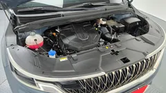 2023 Kia Carnival Diesel 9-Seater Signature — фото 6