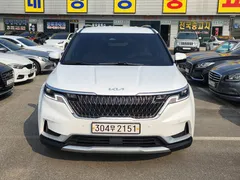 2023 Kia Carnival Conversion(LPG) — фото 12