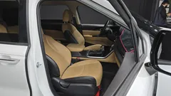 2023 Kia Carnival Diesel 11-Seater Prestige — фото 12