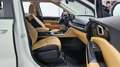 2023 Kia Canival Gasoline 9-Seater Prestige — фото 15