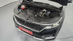 2023 Kia Carnival Diesel 9-Seater Signature — фото 6