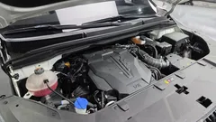 2021 Kia Canival Gasoline 7-Seater Signature, белый — фото 6