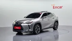2021 Lexus UX 2.0 AWD, серо-серебристый — фото 1