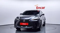 2024 Lexus NX Premium, серый — фото 3